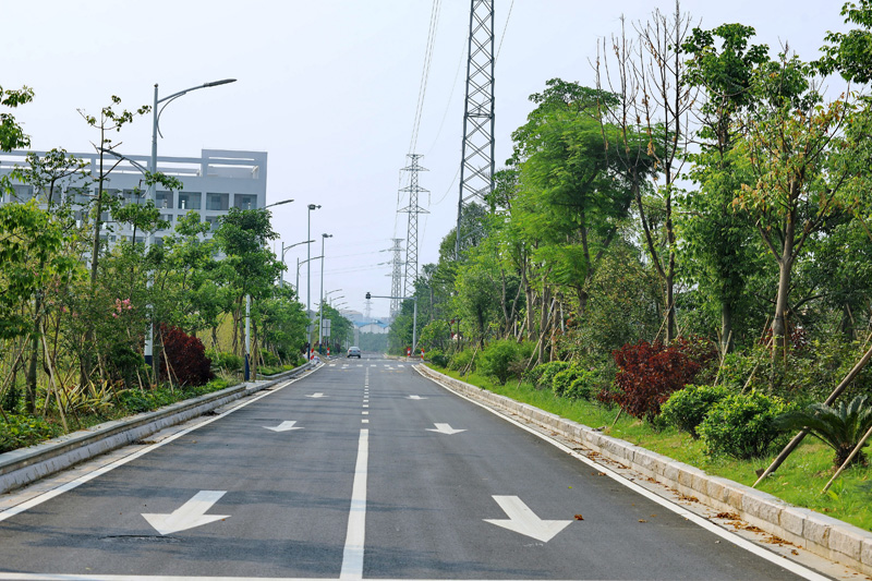 ���ҵ�����ɵ�