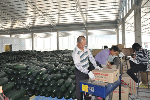 �����Ƥ����