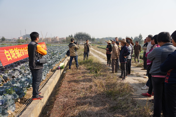 ����ٰ�2015���߲���Ʒ���ƽ��ֳ���