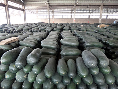 �����Ƥ�����չ��۸�����ȶ�